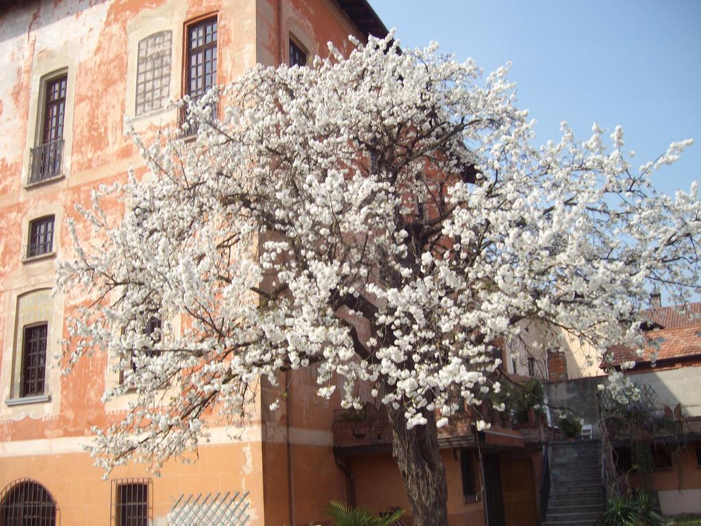 Il Castello Delle Meraviglie Fontaneto d'Agogna エクステリア 写真